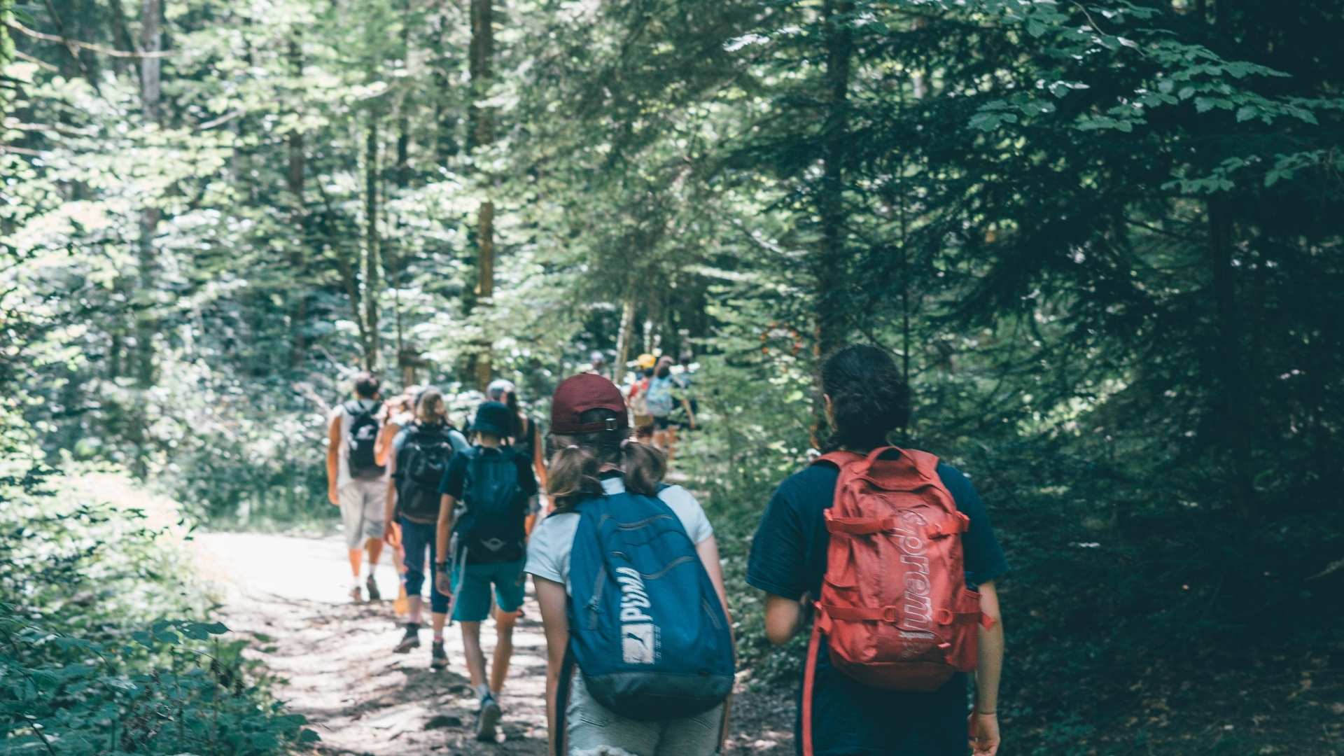 Englische Camper wandern im Wald und haben Spaß dabei!